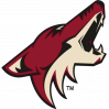 Coyotes